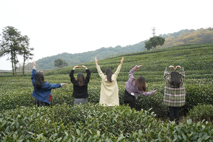 1678271316659812TU3L.jpg 7.JPG